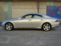 Iridium Silver Metallic - CLS 500 Photo No. 11