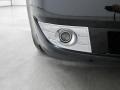 Black Clearcoat - Taurus SEL Photo No. 13