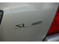 2003 Sheer Silver Metallic Nissan Murano SL AWD  photo #6