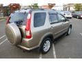 2005 Sahara Sand Metallic Honda CR-V Special Edition 4WD  photo #4