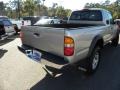 Lunar Mist Metallic - Tacoma V6 Xtracab 4x4 Photo No. 10