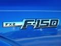 2010 Blue Flame Metallic Ford F150 FX2 SuperCrew  photo #4