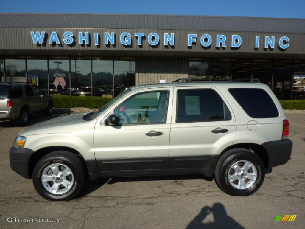 2005 Escape XLT V6 4WD - Gold Ash Metallic / Medium/Dark Pebble Beige photo #1