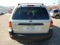 2005 Gold Ash Metallic Ford Escape XLT V6 4WD  photo #3