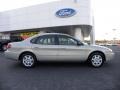 Gold Ash Metallic - Taurus SE Photo No. 2