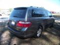 Nimbus Gray Metallic - Odyssey EX-L Photo No. 19