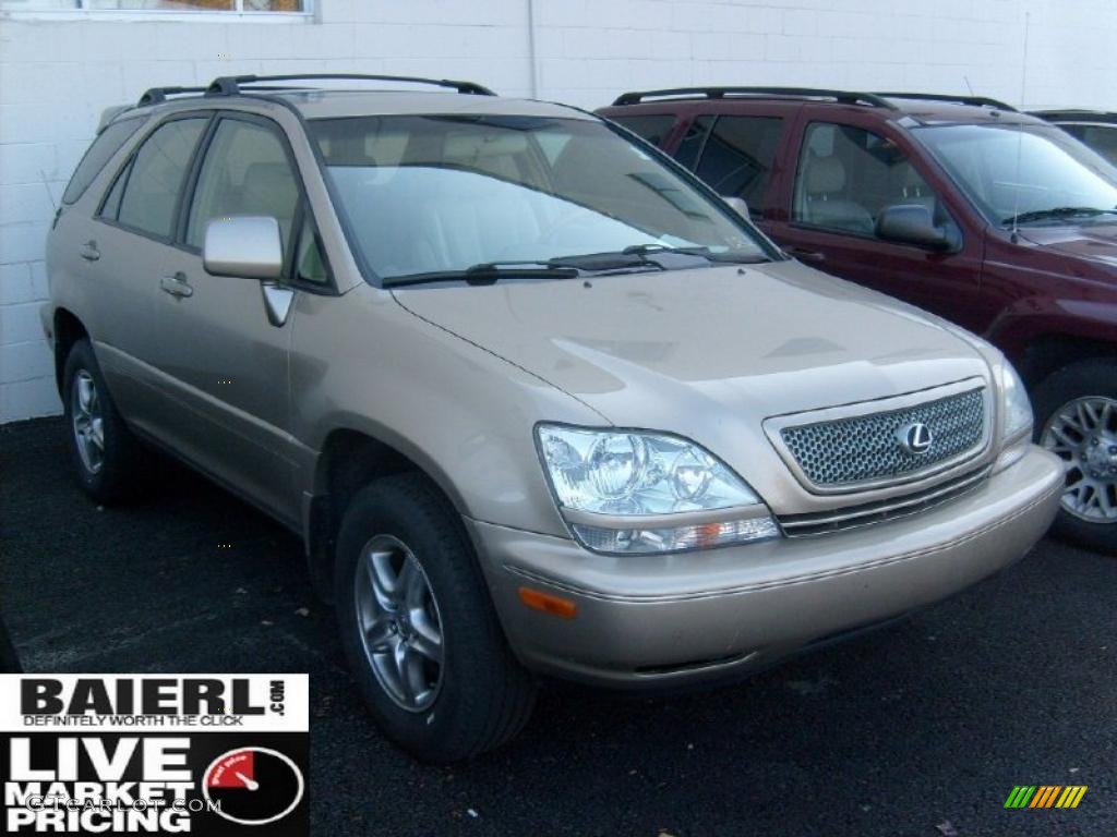 2002 RX 300 AWD - Burnished Gold Metallic / Ivory photo #1