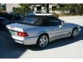 2001 Brilliant Silver Metallic Mercedes-Benz SL 500 Roadster  photo #19