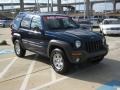 Patriot Blue Pearl - Liberty Sport Photo No. 7