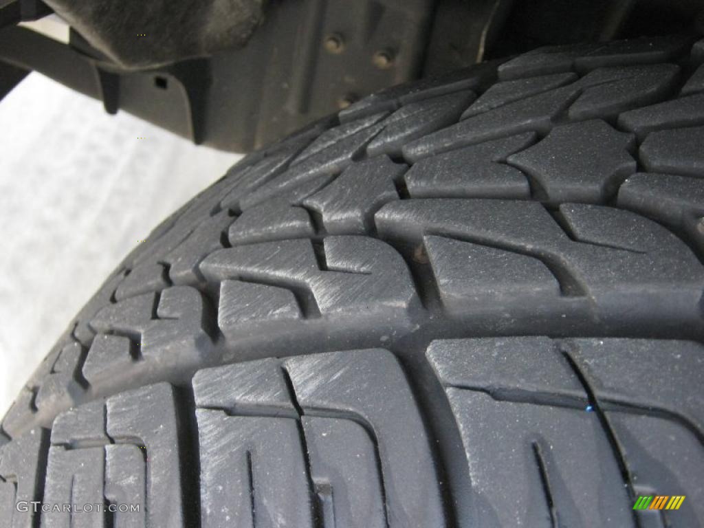 2004 F150 Lariat SuperCrew - True Blue Metallic / Tan photo #19