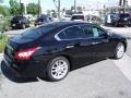 Super Black - Maxima 3.5 SV Photo No. 7