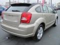 2010 Light Sandstone Metallic Dodge Caliber SXT  photo #5