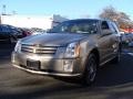 Cashmere Metallic - SRX V8 Photo No. 3