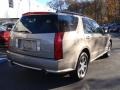 Cashmere Metallic - SRX V8 Photo No. 5