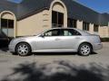 Light Platinum 2005 Cadillac STS V6 Exterior