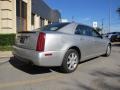 Light Platinum 2005 Cadillac STS V6 Exterior