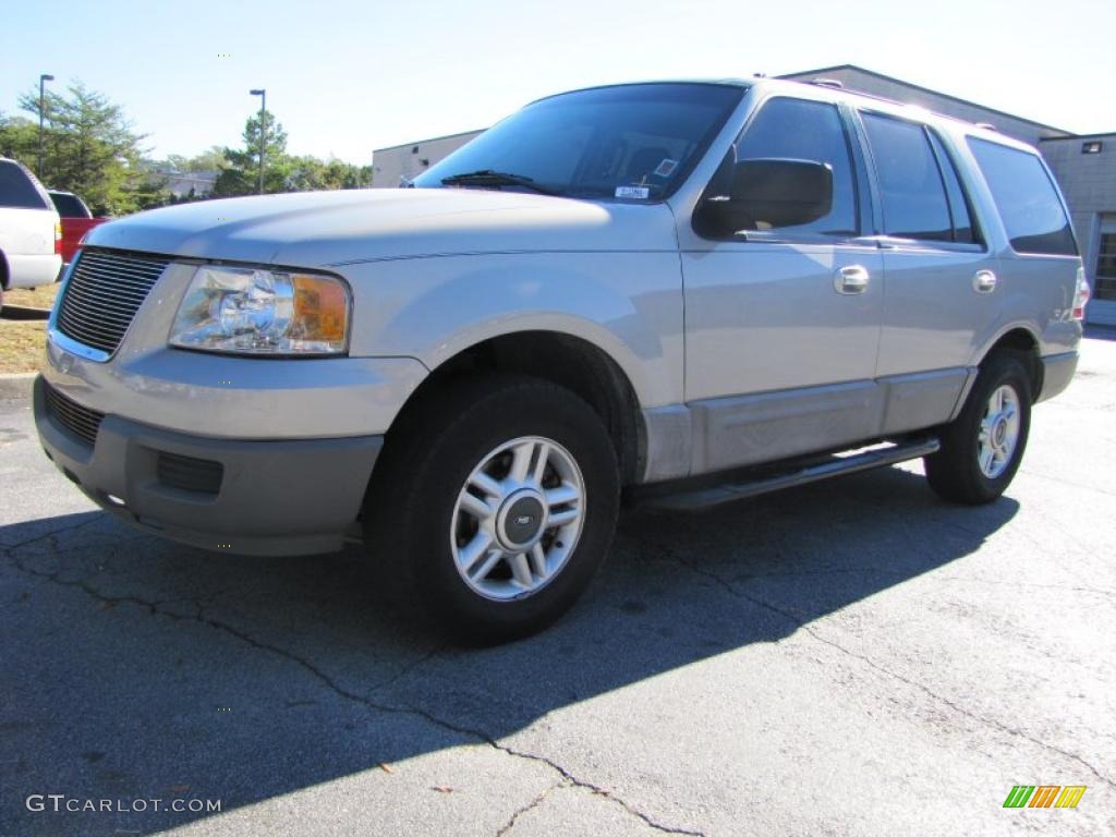2003 Expedition XLT - Silver Birch Metallic / Flint Grey photo #1