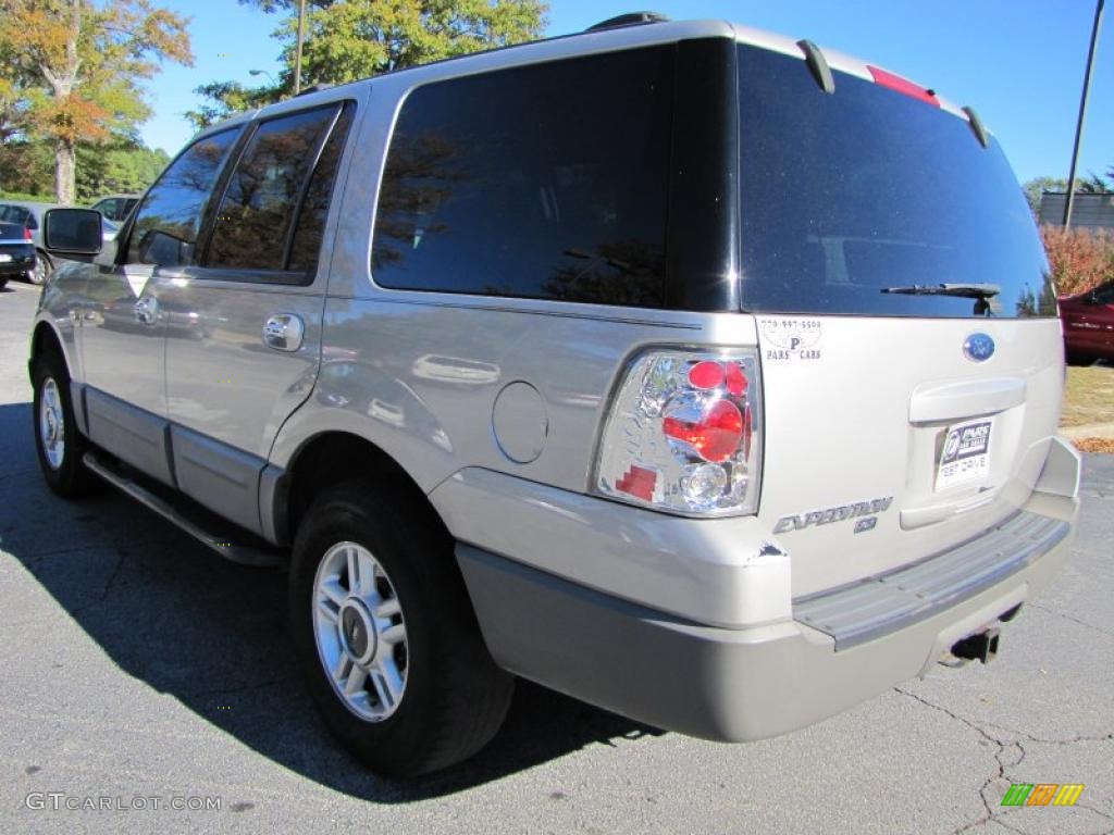 2003 Expedition XLT - Silver Birch Metallic / Flint Grey photo #2