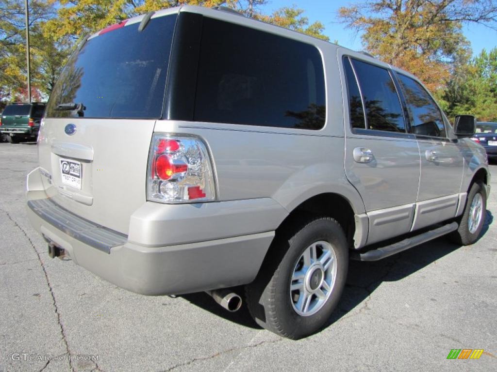 2003 Expedition XLT - Silver Birch Metallic / Flint Grey photo #3
