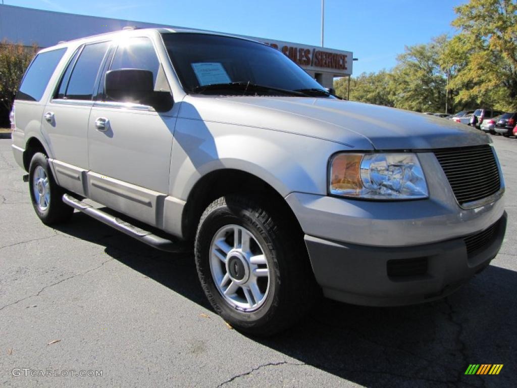 2003 Expedition XLT - Silver Birch Metallic / Flint Grey photo #4
