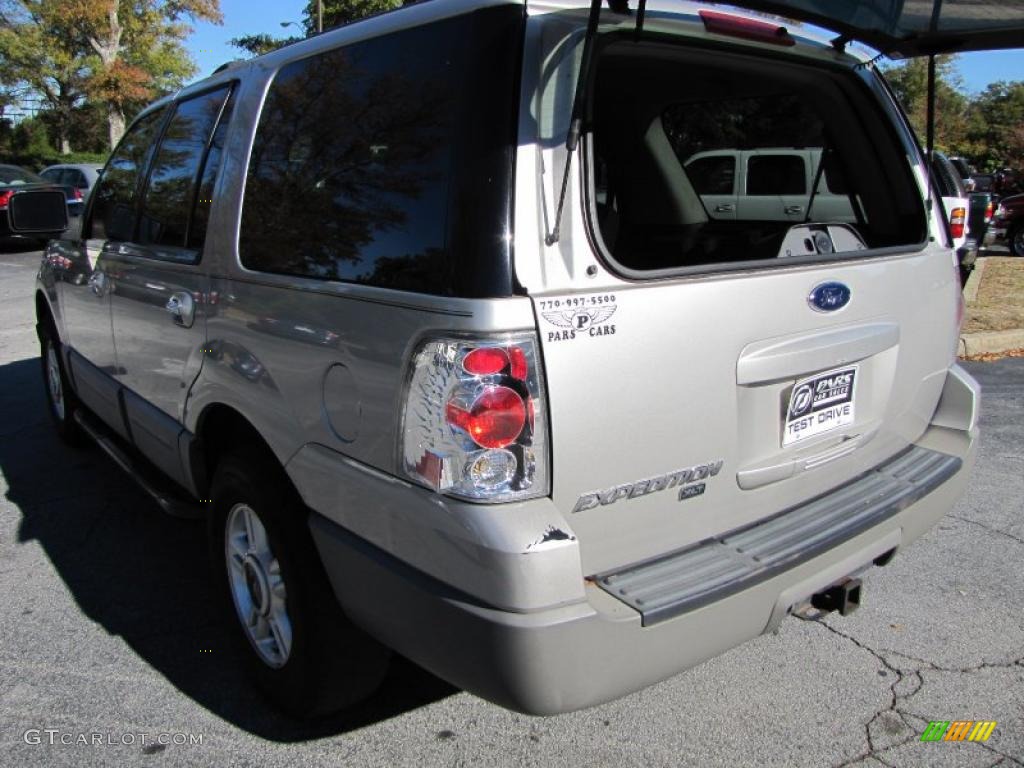 2003 Expedition XLT - Silver Birch Metallic / Flint Grey photo #9