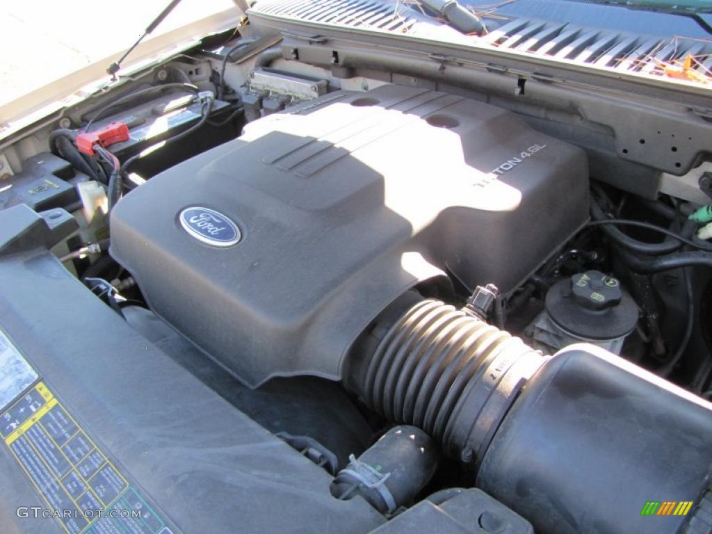 2003 Expedition XLT - Silver Birch Metallic / Flint Grey photo #15