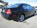 Super Black - Maxima GLE Photo No. 3