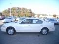 Icelandic White Pearl - Maxima SE Photo No. 2
