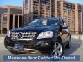 Black - ML 350 4Matic Photo No. 1