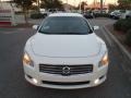 Winter Frost White - Maxima 3.5 SV Photo No. 2