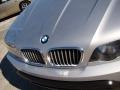2003 Titanium Silver Metallic BMW X5 4.4i  photo #41