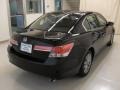 2011 Crystal Black Pearl Honda Accord EX Sedan  photo #4