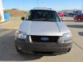 2006 Silver Metallic Ford Escape XLT 4WD  photo #10