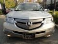 Billet Silver Metallic - MDX Technology Photo No. 2