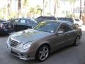 2008 Pewter Metallic Mercedes-Benz E 350 Sedan  photo #6