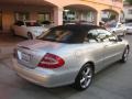 Brilliant Silver Metallic - CLK 320 Cabriolet Photo No. 2