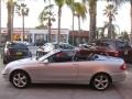 Brilliant Silver Metallic - CLK 320 Cabriolet Photo No. 20