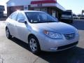 Liquid Silver - Elantra GLS Photo No. 7