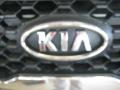 2011 Ebony Black Kia Sorento EX V6  photo #23