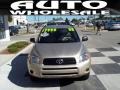 Savannah Metallic - RAV4 4WD Photo No. 2