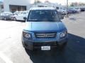 2008 Atomic Blue Metallic Honda Element EX AWD  photo #6