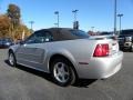 Silver Metallic - Mustang V6 Convertible Photo No. 25