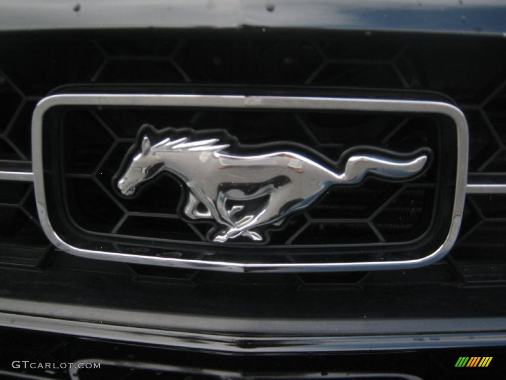 2007 Mustang V6 Premium Coupe - Black / Light Graphite photo #21