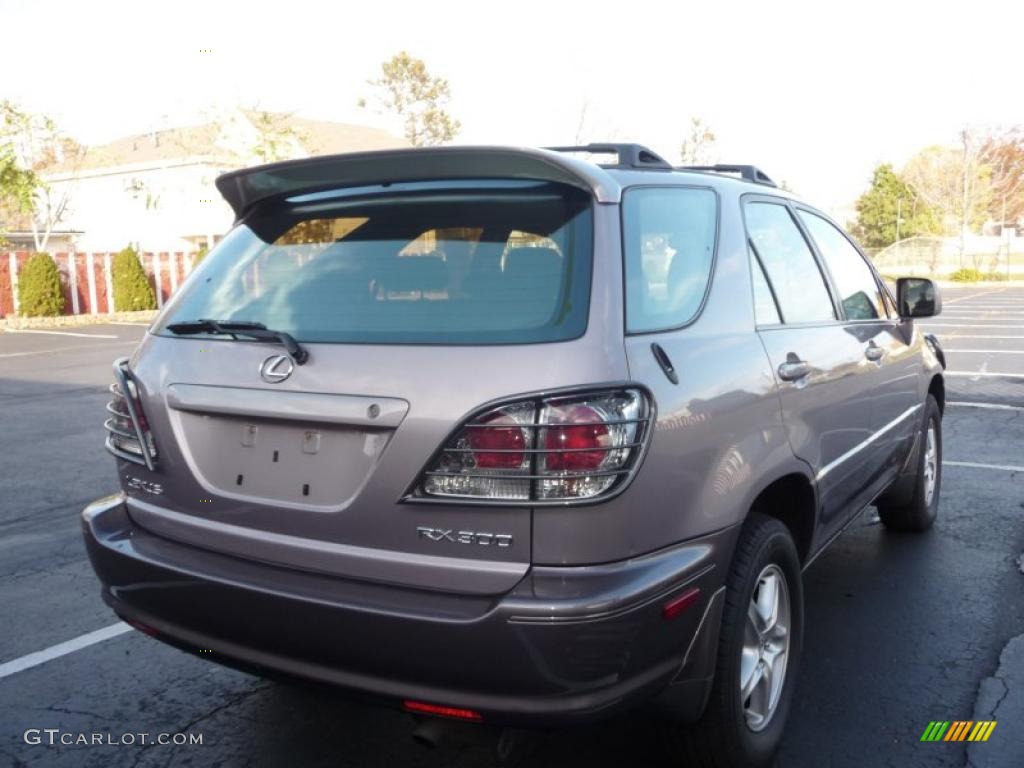 2001 RX 300 AWD - Sunset Mist Pearl / Black photo #3