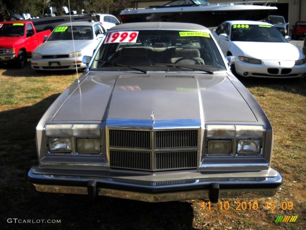 1988 Diplomat Sedan - Pewter Metallic / Beige photo #2