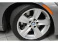 2008 Space Grey Metallic BMW 3 Series 335i Coupe  photo #3