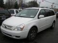 2009 Clear White Kia Sedona LX  photo #1