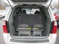 2009 Clear White Kia Sedona LX  photo #6