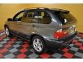 2003 Steel Grey Metallic BMW X5 4.4i  photo #3