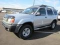 Silver Ice Metallic 2000 Nissan Xterra XE V6